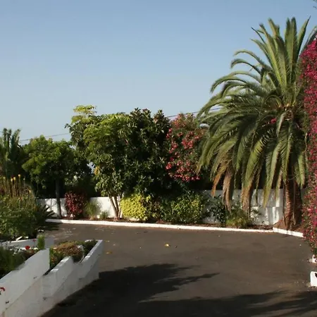 Dragos * Santa Ursula (Tenerife)