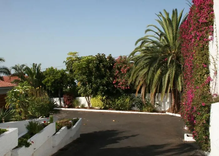 Dragos * Santa Úrsula